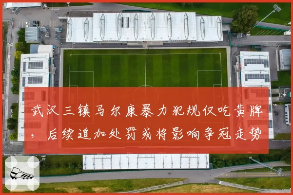 武汉三镇马尔康暴力犯规仅吃黄牌，后续追加处罚或将影响争冠走势