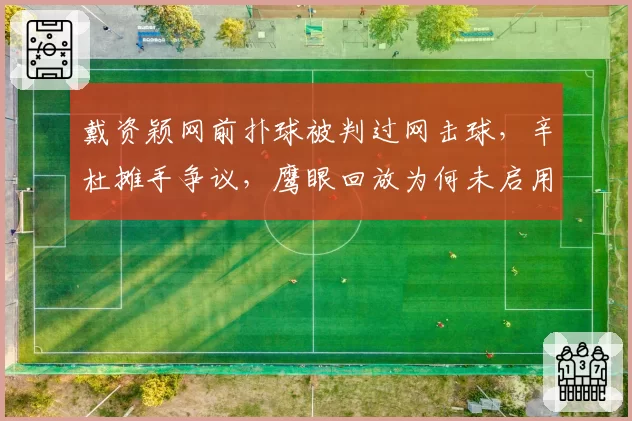 戴资颖网前扑球被判过网击球,辛杜摊手争议,鹰眼回放为何未启用?