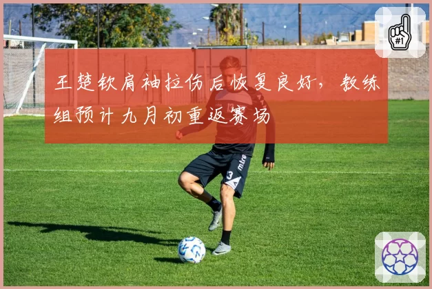 王楚钦肩袖拉伤后恢复良好,教练组预计九月初重返赛场