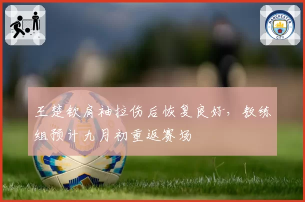 王楚钦肩袖拉伤后恢复良好,教练组预计九月初重返赛场