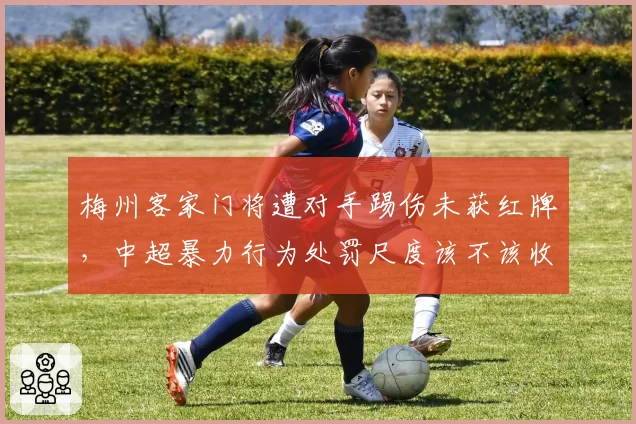 梅州客家门将遭对手踢伤未获红牌,中超暴力行为处罚尺度该不该收紧